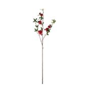 Pomegranate Spray - Red - 88cm