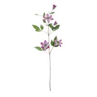 Snowy Clematis - Lavender/White - 78cm