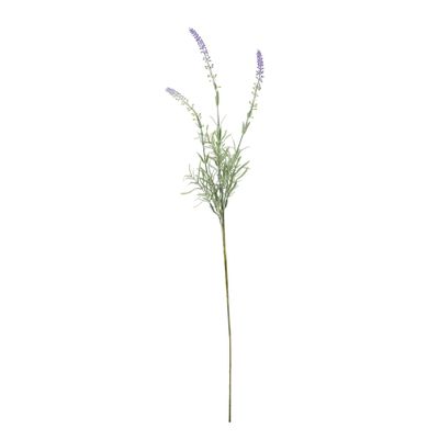 Essential Lavender Stem