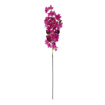 Essential Bougainvillea Spray - Purple