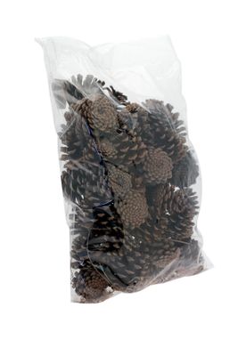 5kg Austriaca Cones - Bagged