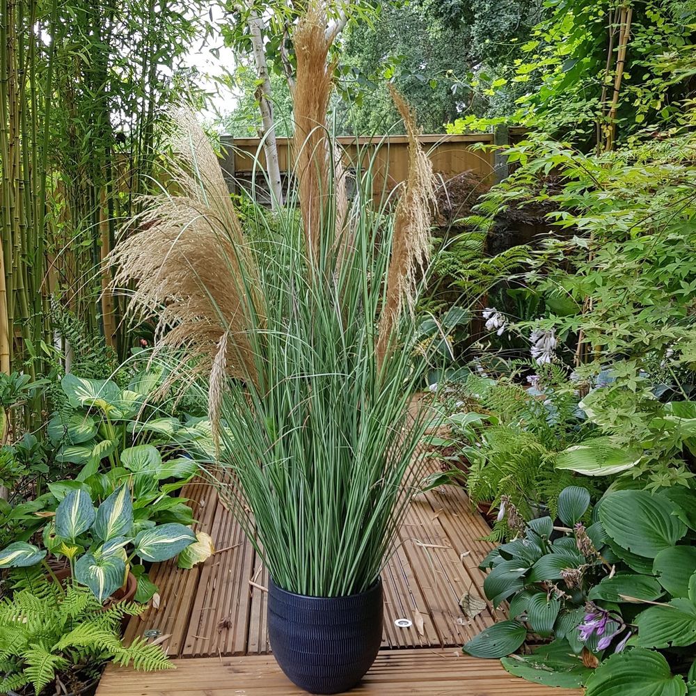 Potted Pampas 5 heads 118cm APAC