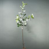 EUCALYPTUS SPRAY WITH SNOW