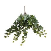 Frosted Ivy Bush Vine (60cm)(6/24)