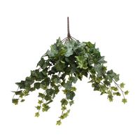 Frosted Ivy Bush Vine (60cm)(6/24)
