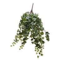 Frosted Ivy Bush Vine (80cm)(4/16)