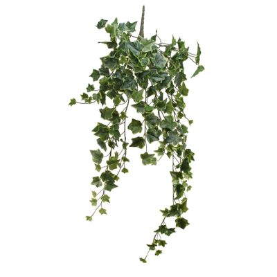 English Ivy Hanger (86cm)(6/36)