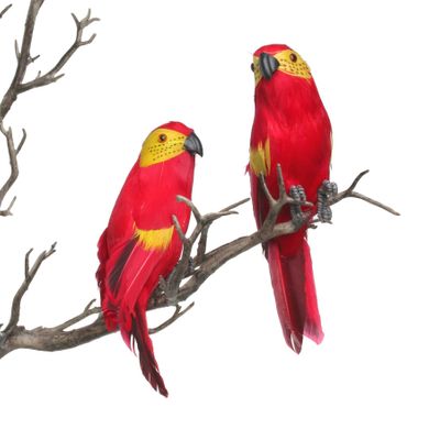 Red Mini Macaw