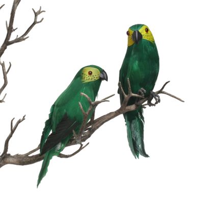 Green Mini Macaw