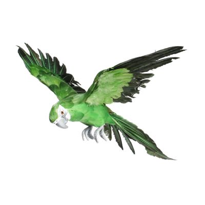 Green Flying Macaw (S)