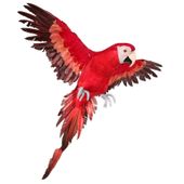 Red Flying Macaw (L)