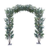 Eucalyptus Arch Green