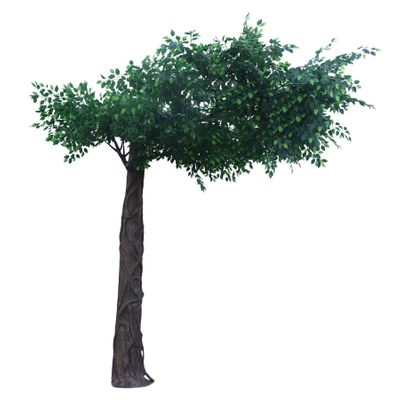 3.6m Extra Large Tree Green
