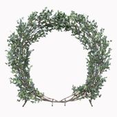 Eucalyptus Circle Green