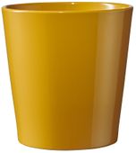 Dallas Breeze Shiny  Mustard Yellow (W12cm x H9cm)