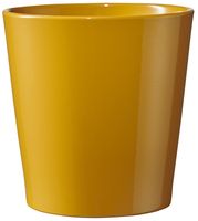Dallas Breeze Shiny  Mustard Yellow (W12cm x H9cm)