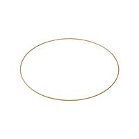 50cm Gold Bridesmaid Flower Hoop (1/10)