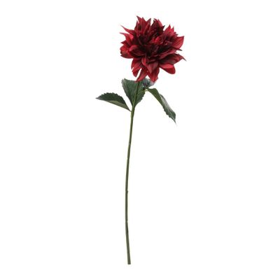 Glamis Single Dahlia with 2 Leaves Dark Red (61cm)