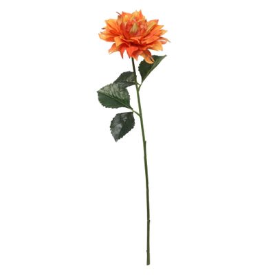Glamis Single Dahlia with 2 Leaves Orange (61cm)