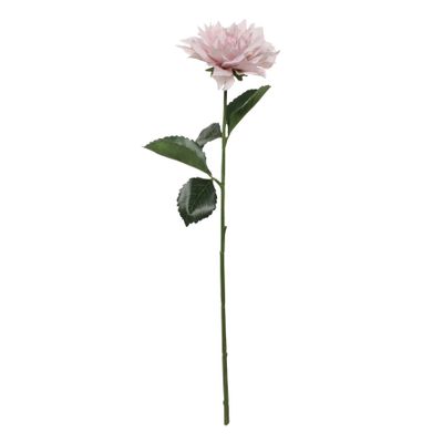 Glamis Single Dahlia with 2 Leaves Light Pink (61cm)