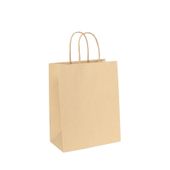 Kraft Paper Bag Brown (H26cm W20cm D11cm)  - Pack of 10