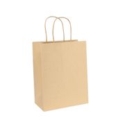 Kraft Paper Bag Brown (H23cm W18cm D10cm) - Pack of 10