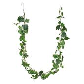 French Ivy Garland - Variegated Leaves