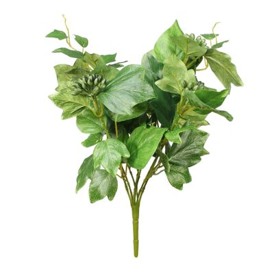 French Ivy Bush - Green Leaves