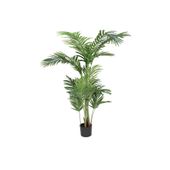 Parlour Palm 160cm