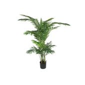 Parlour Palm 180cm 