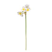 Monet mini Daffodil White/Yellow 34cm (48/576)