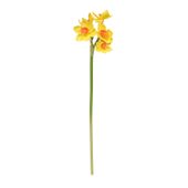 Monet mini Daffodil Yellow/Orange 34cm (48/576)