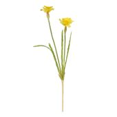 Monet Narcissus Yellow-2 Flowers 58cm (24/288)