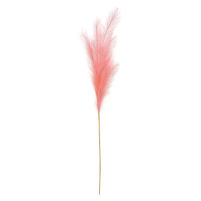 Luxury Pampas Blush Pink 15 Heads (12/300)