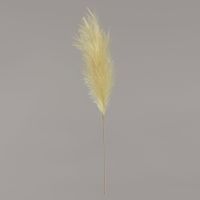 Luxury Pampas Pistachio Green 15 Heads (12/300)