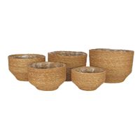 Set of 5 Hogla  Basket w/Liner (Natural)