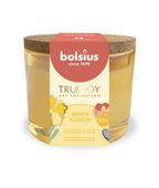 True Joy Daffodil Glass  66 x 83mm- Yellow -Spring Blossom 
