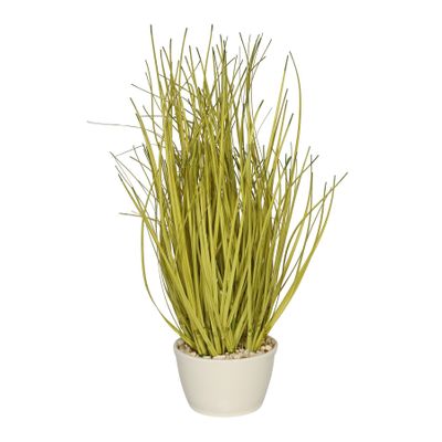 26cm Grass w/Ceramic Pot Green