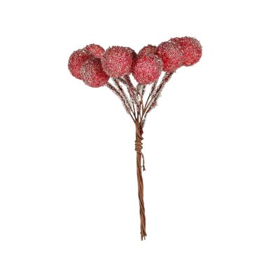 Frosted Berry pick  x10 Red 