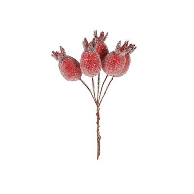 Frosted Rose Hip x 5 RED 3.5cm
