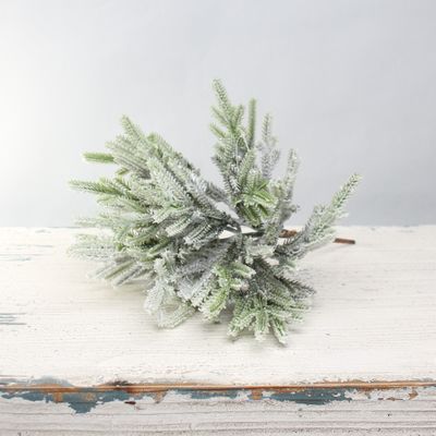 Mini spruce snowy pick 