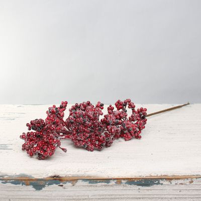 Snowy cluster Berry Spray red