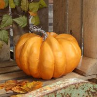 Pumpkin 21.5cm x 16cm Orange 