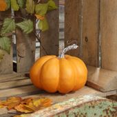 Pumpkin 15.5cm x 12cm Orange