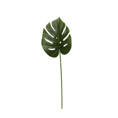 Monstera leaf 60cm (12/240)