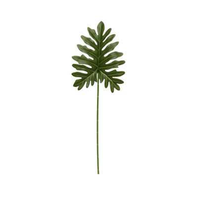 Philo leaf 60cm (12/240)
