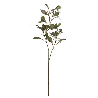 Nandina spray 61cm Green (12/288)
