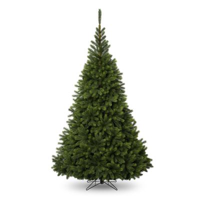 10ft Oregon Pine Tree 3337Tips