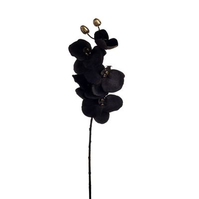 Phalaenopsis Spray Grey 66Cm Hqn