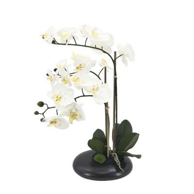 Potted White Orchid x 3 Stems in a Black Ceramic Pot - 56cm